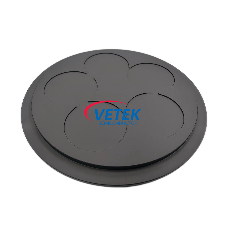 CVD SiC Coated Graphite Susceptor for Wafer Carrier